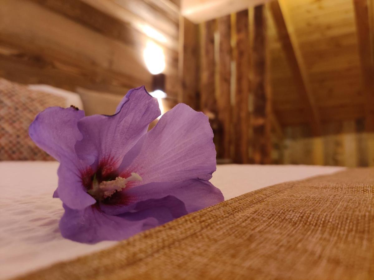 Au Fond Du Bourg Apartment อาออสตา ภายนอก รูปภาพ